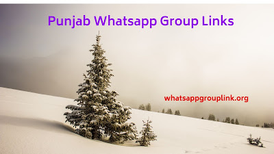 Punjab Whatsapp Group Links www.whatsappgrouplink.org