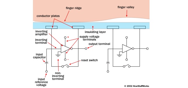 How the fingerprint sensor works? | mytechlala.com