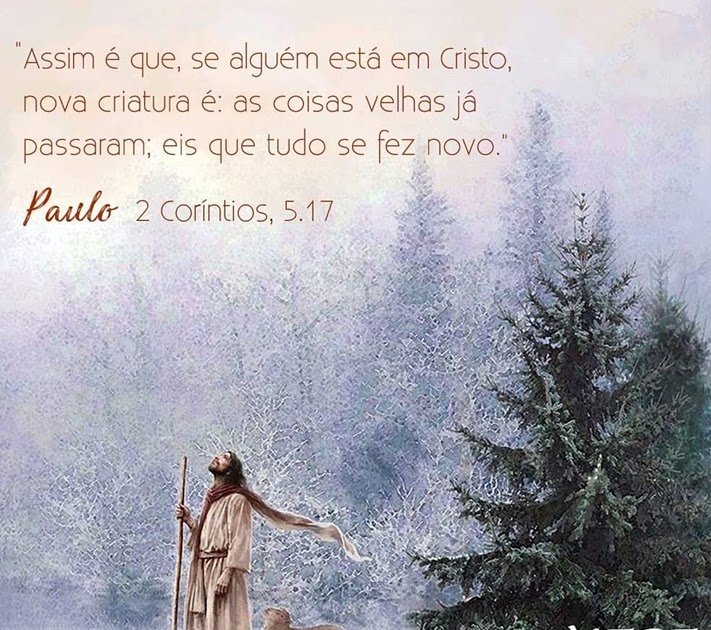 Ser Espírita Emmanuel Livro Palavras de