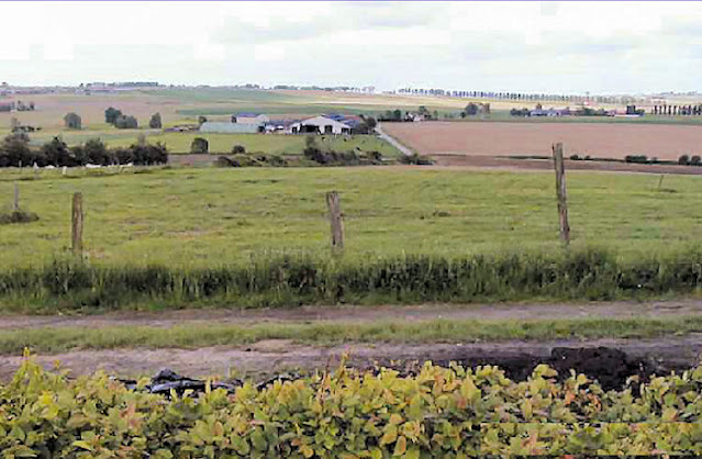 Roads to the Great War: Great Then and Now Photos of the Messines ...