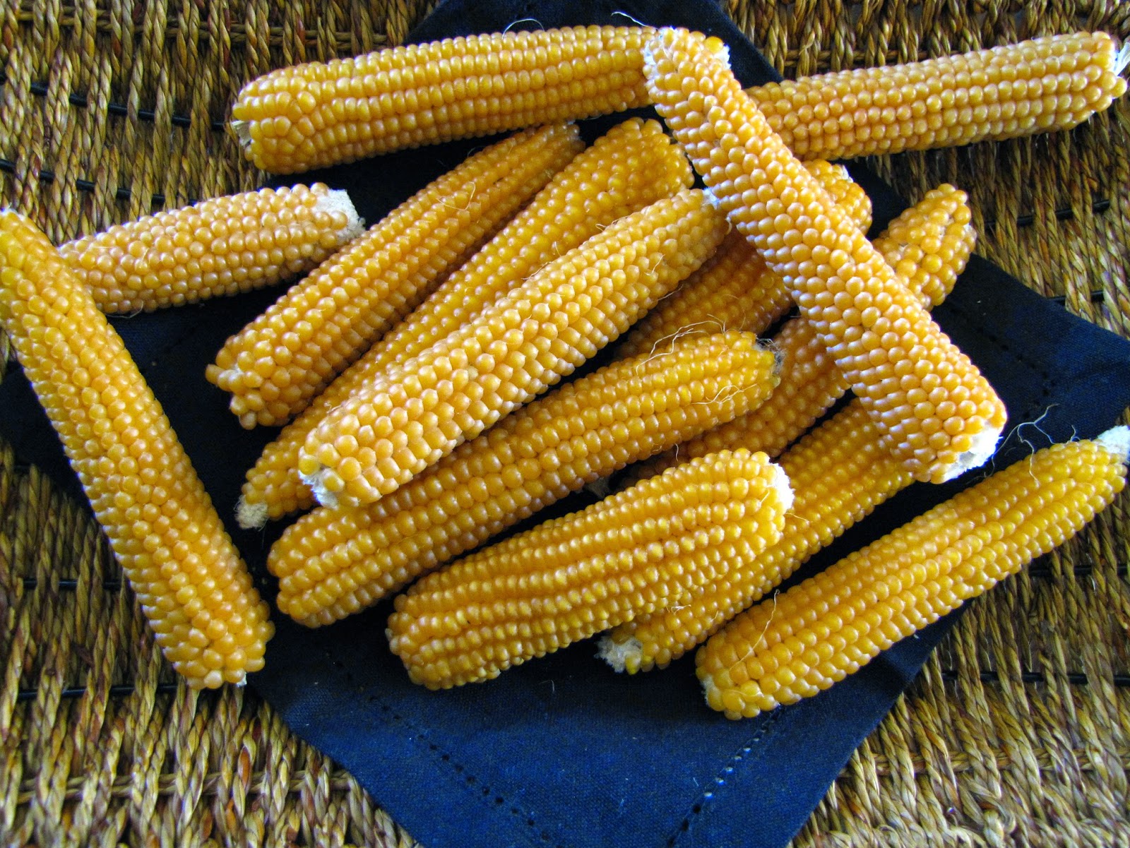 Mennonite Girls Can Cook Popping Popcorn on the Cob