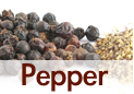 what is the difference between black pepper and white pepper?