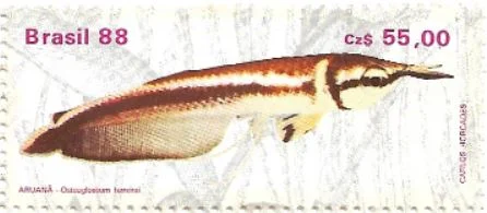 Selo peixe Aruanã
