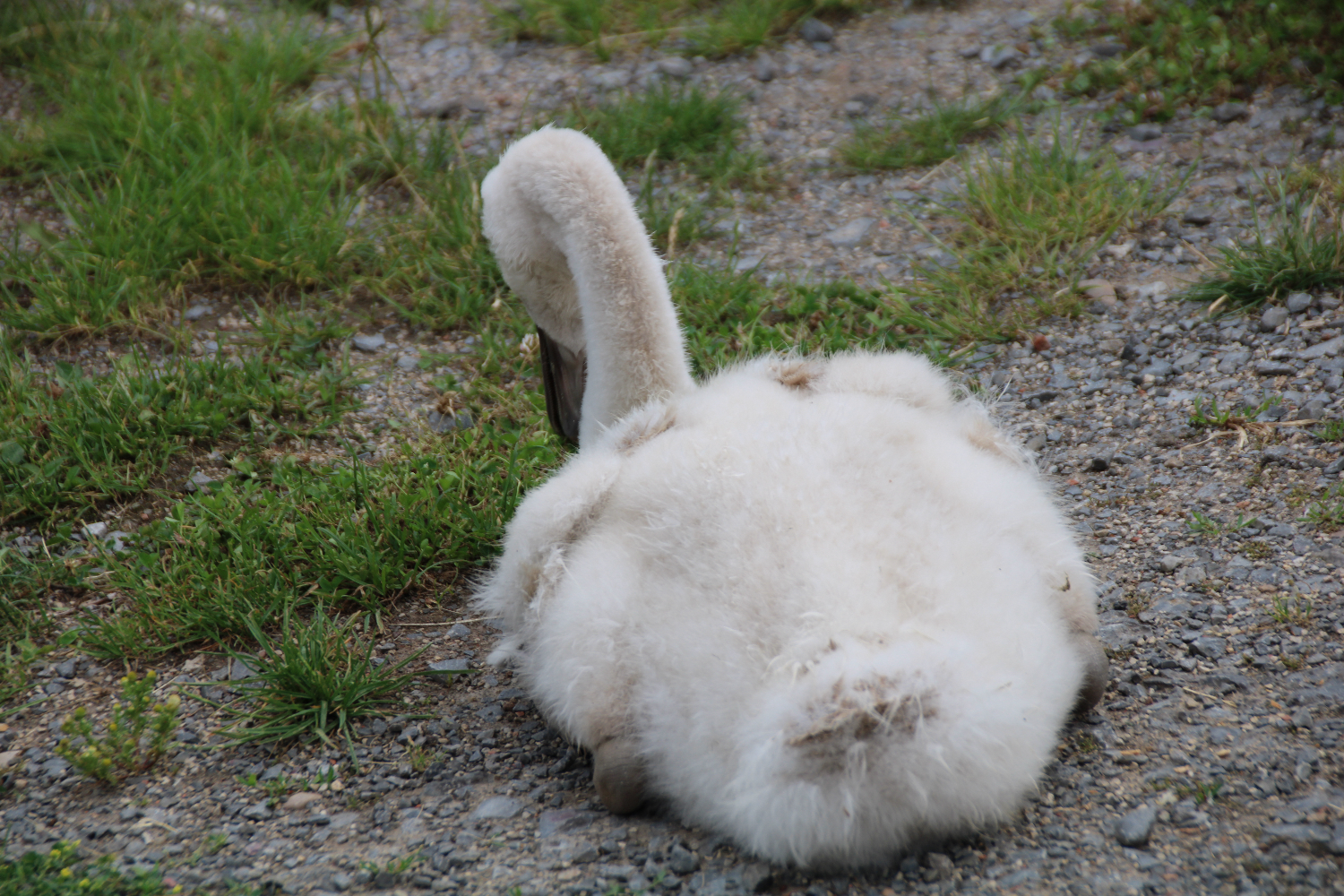 Auf Dem Jakobsweg Erste Wanderung 2015 Heilbronn Speyer