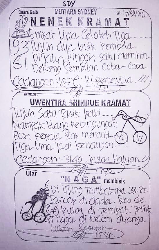 sdy selasa