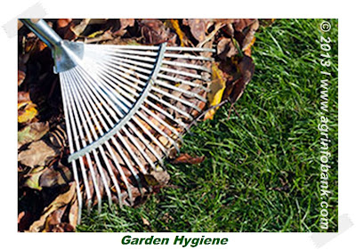 Garden Hygiene | Agriculture Information Bank