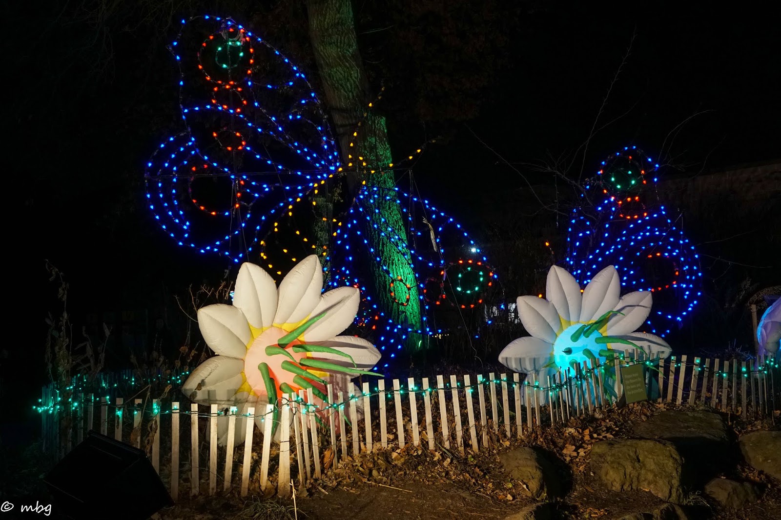 Explore St Louis Visit Missouri Review of Zoo Lights