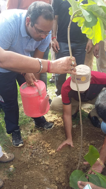 डीएम ने पौधरोपण अभियान चलाया