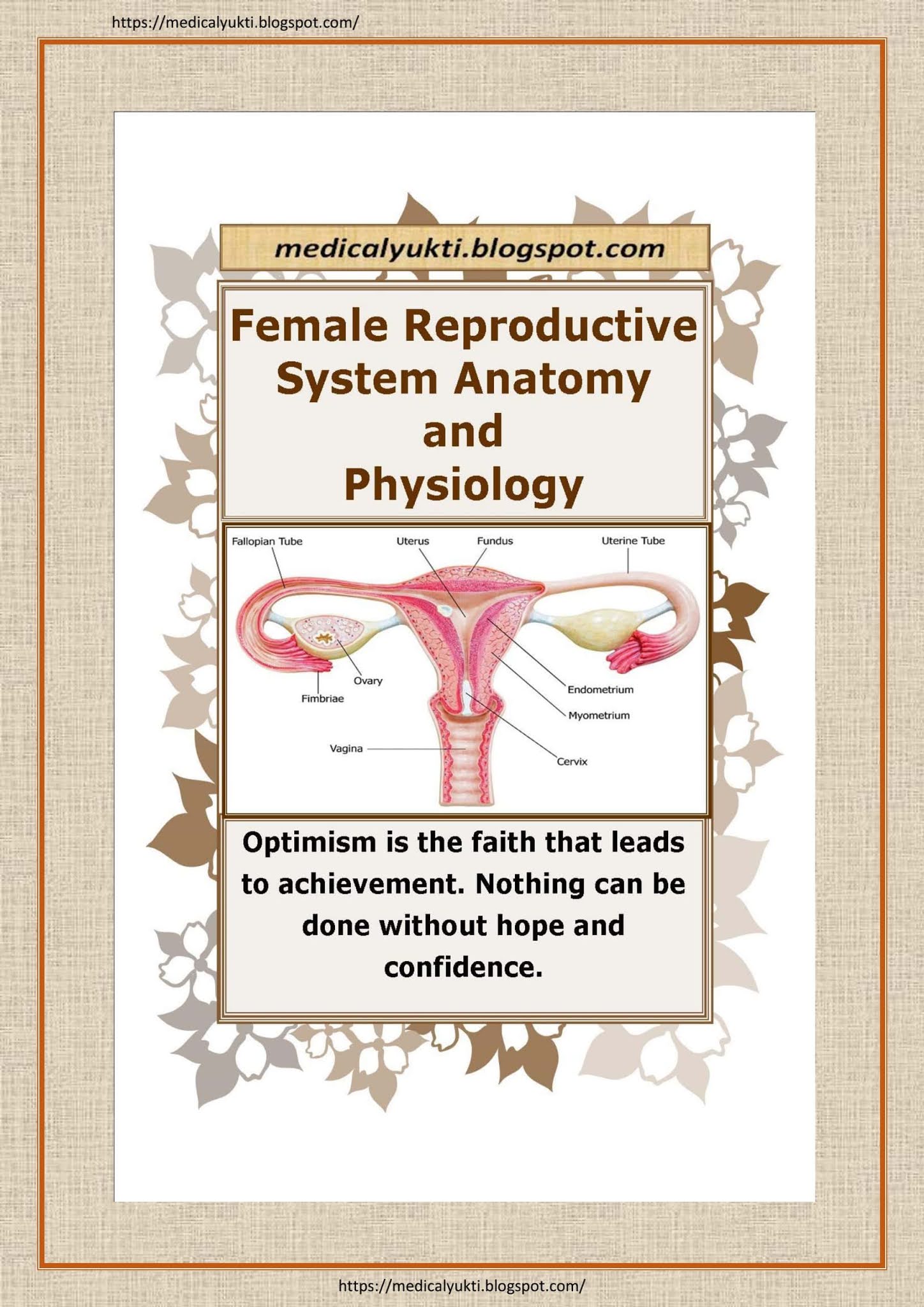 Female Reproductive System Anatomy Physiology - Medical Yukti