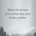 When Life Throws You A Rainy Day, Play In The Puddles - Top Quotes