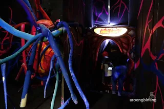 human body adventures