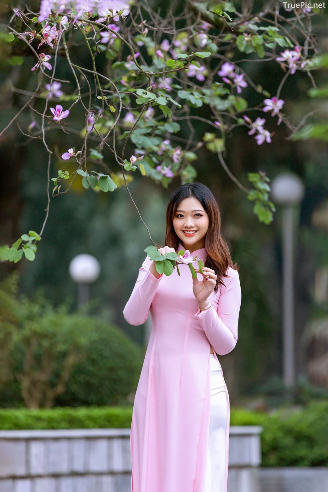 Dreamy purple of Ao Dai - Gentle and Soft of beautiful girls - Vietnamese traditional dress