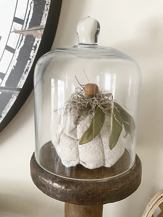 pumpkin in a cloche