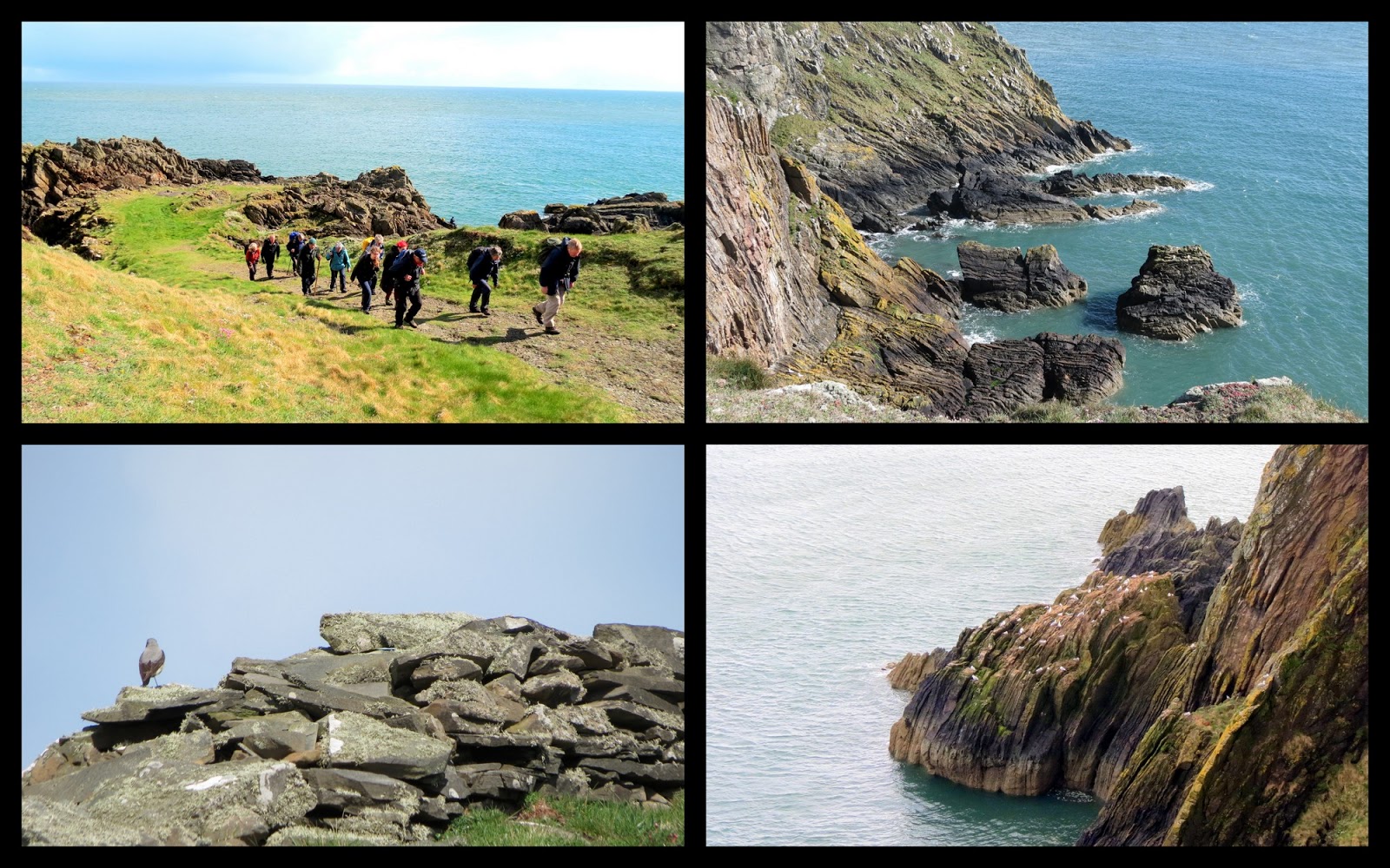 The Glebe Blog Three Walks Newton Stewart Walking Festival 2013