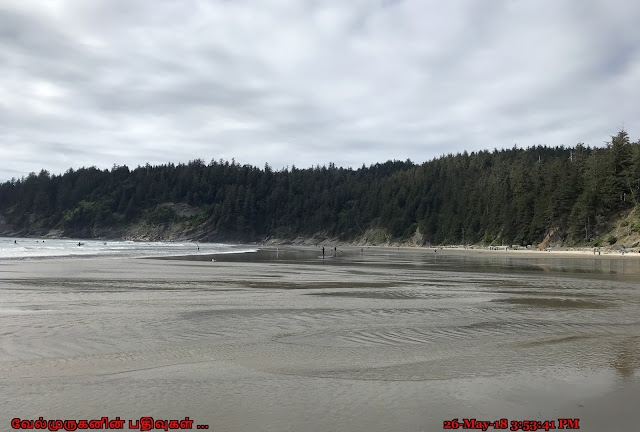 Short Sand Beach Oswald West State Park