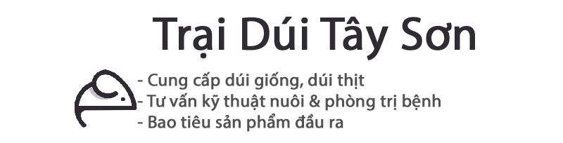 TRẠI DÚI TÂY SƠN DAKLAK