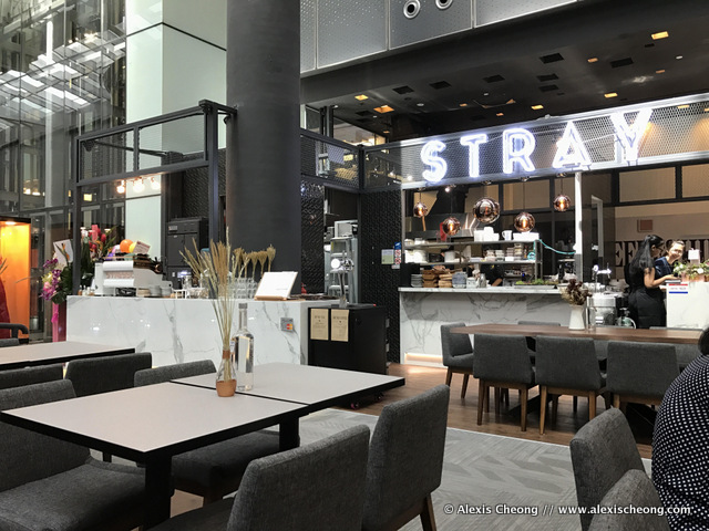 download free the stray cafe download free the stray cafe