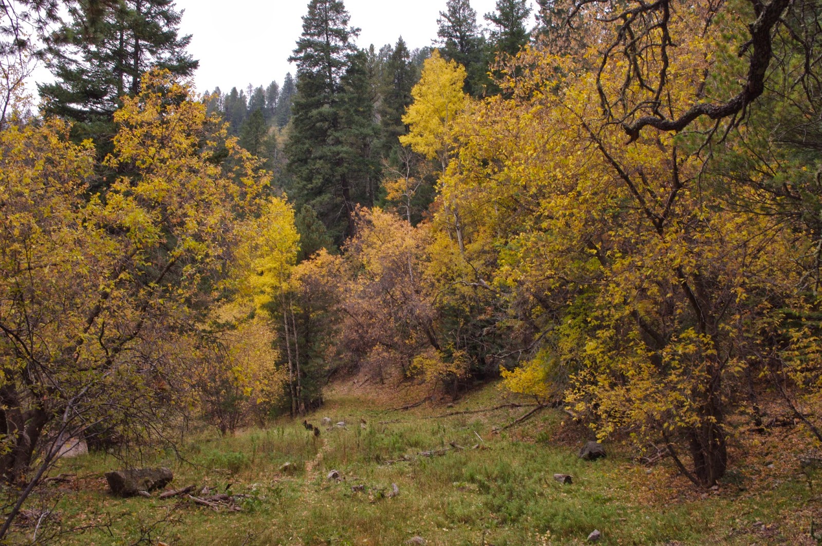 Southern New Mexico Explorer Monument Canyon( FT 123) Lincoln