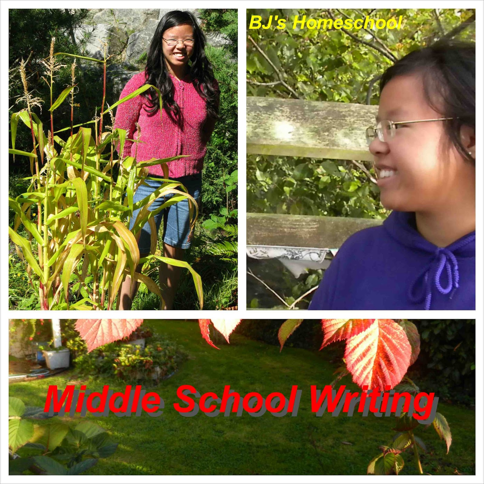 BJ's Homeschool Resources for Homeschooling the Middle School Years
