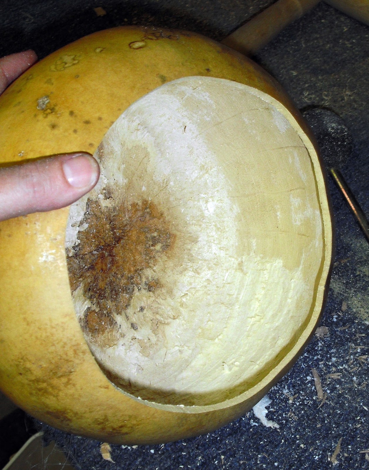 Tangible Daydreams Cleaning a dried gourd
