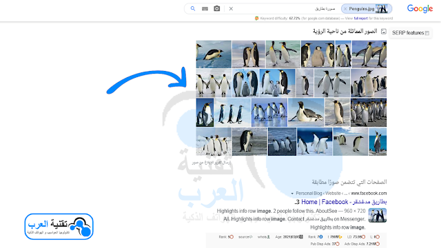 نتيجة الصور من كيفية البحث بصورة نتيجة الصور من كيفية البحث بصورة