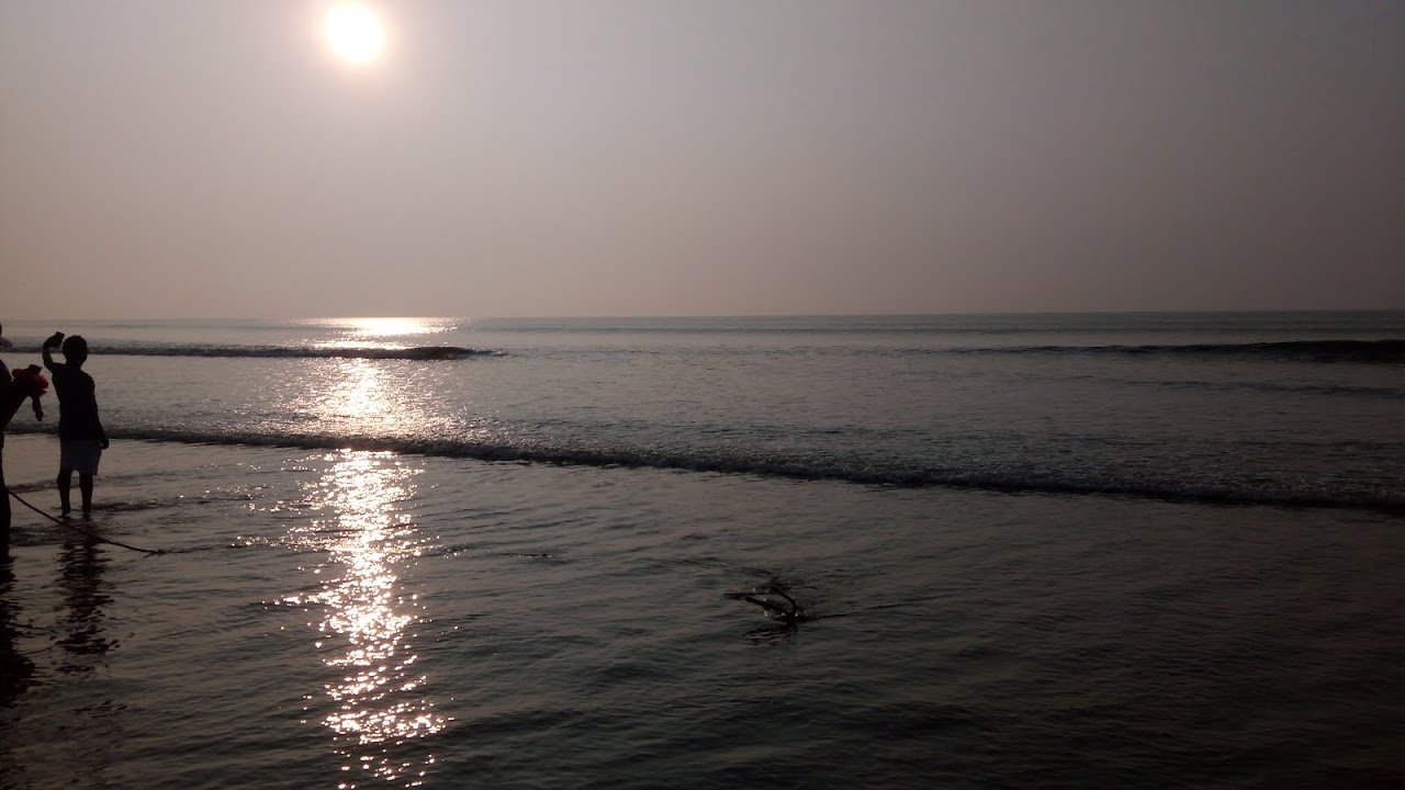 Pulses list Pulses name in Bengali and English