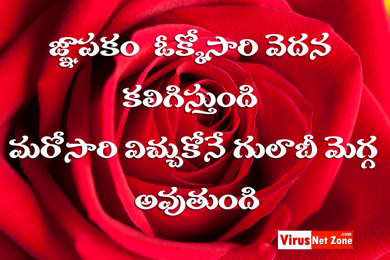 Telugu Heart Touching Love Quotes జ ఞ పక ఒక క స ర వ దన కల గ స త ద మర కస ర వ చ చ క న గ ల బ మ గ గ అవ త ద Virus Net Zone