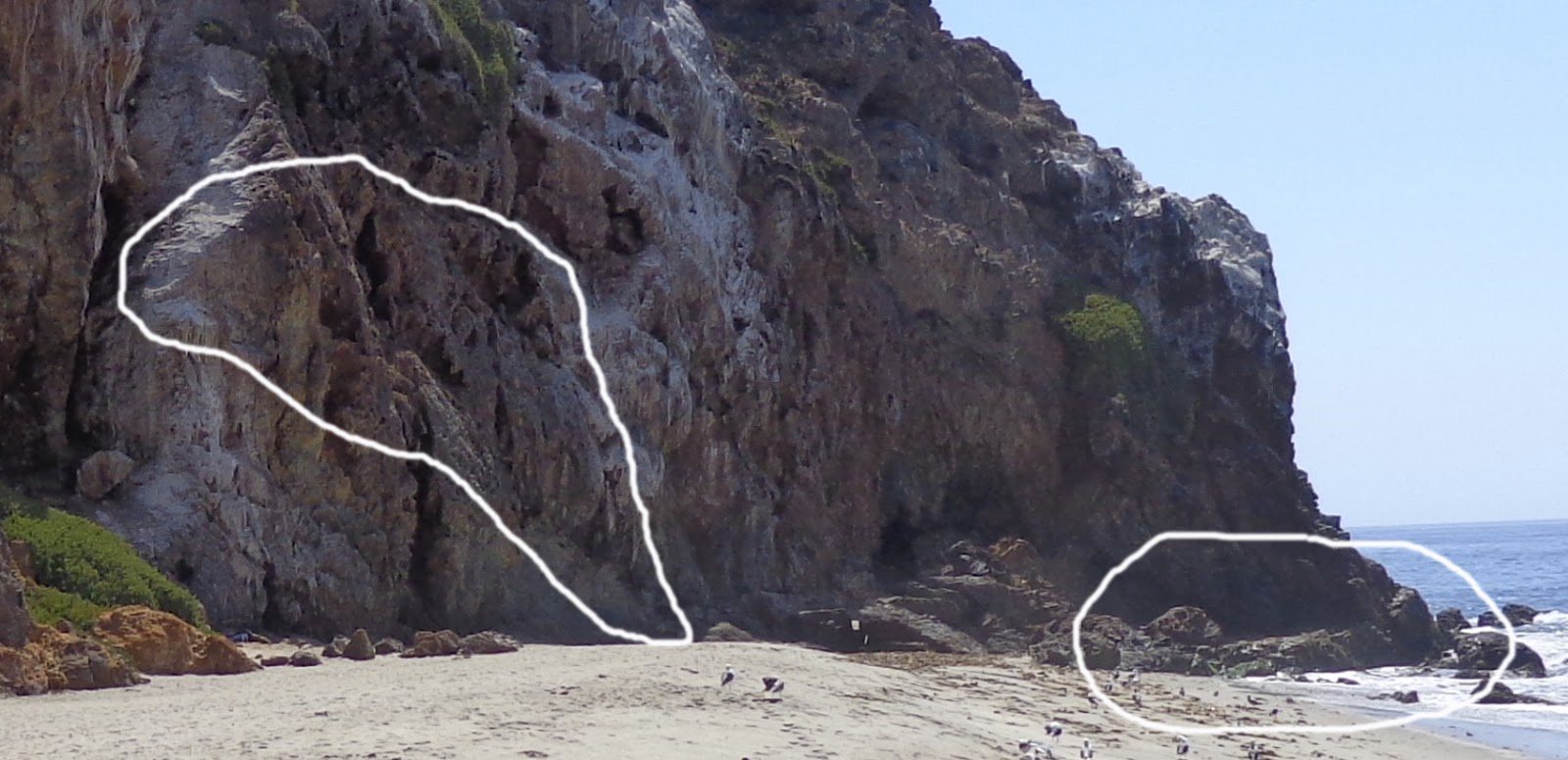 The Great Silence On Earth All Along