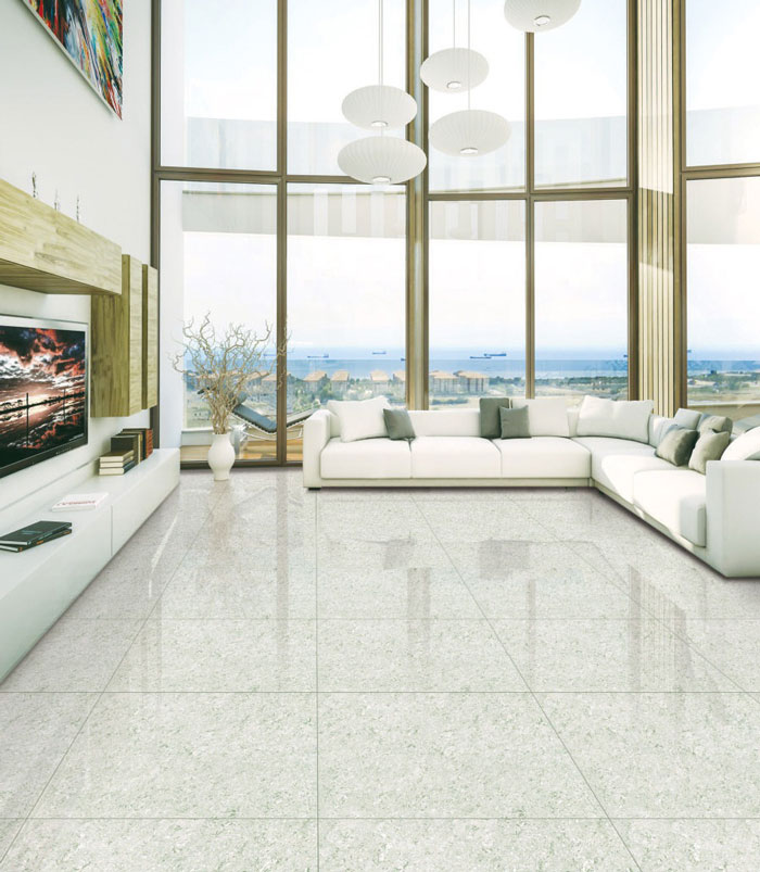 Double Charge Tiles Wall Tiles Design