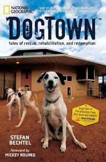 Dogtown-Stefan-Bechtel-book