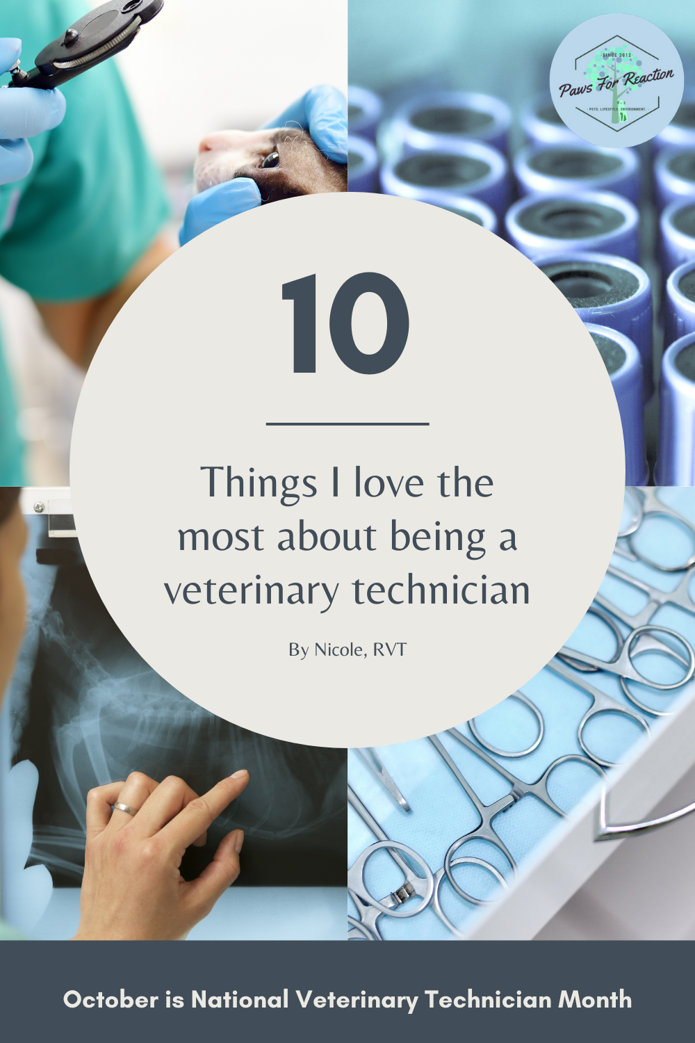 Happy National Veterinary Technician Week 10 best things about being a