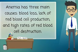 Food accelerates the healing of ANEMIA recommended by doctors
