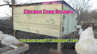 Chicken Coop Designs - Chicken Coop 911