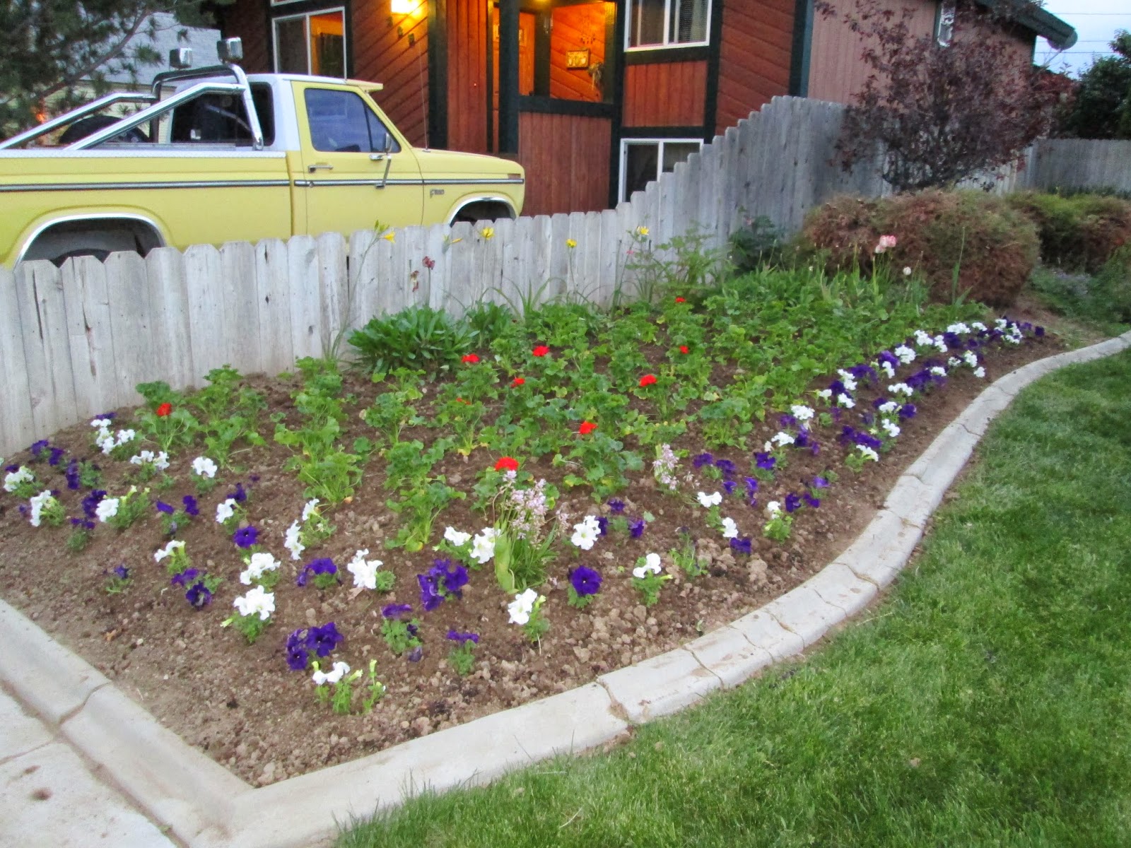 Happy Clean Living Planting Flowers Before it Rains!
