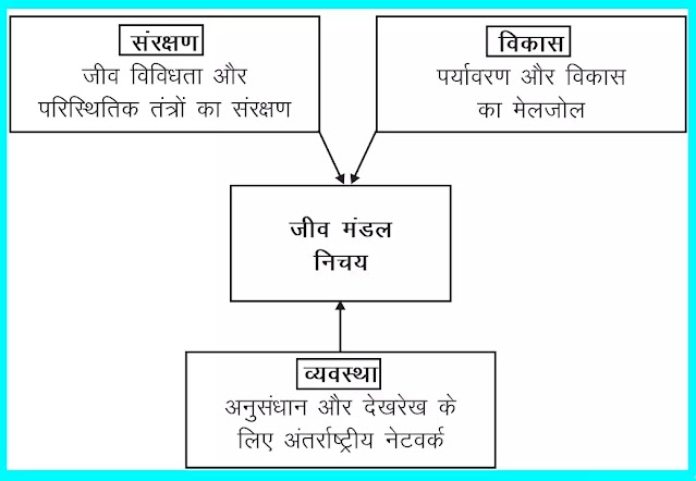 11 class Geography - ll Notes In Hindi Chapter 5 Natural Vegetation अध्याय - 5 प्राकृतिक वनस्पति 11 class Geography - ll Notes In Hindi Chapter 5 Natural Vegetation अध्याय - 5 प्राकृतिक वनस्पति
