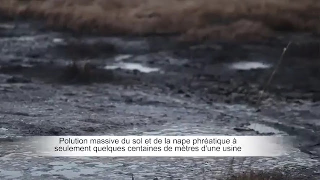 THE DESTRUCTION OF GABON'S ECOSYSTEMS BY THE OIL INDUSTRY! LA ...