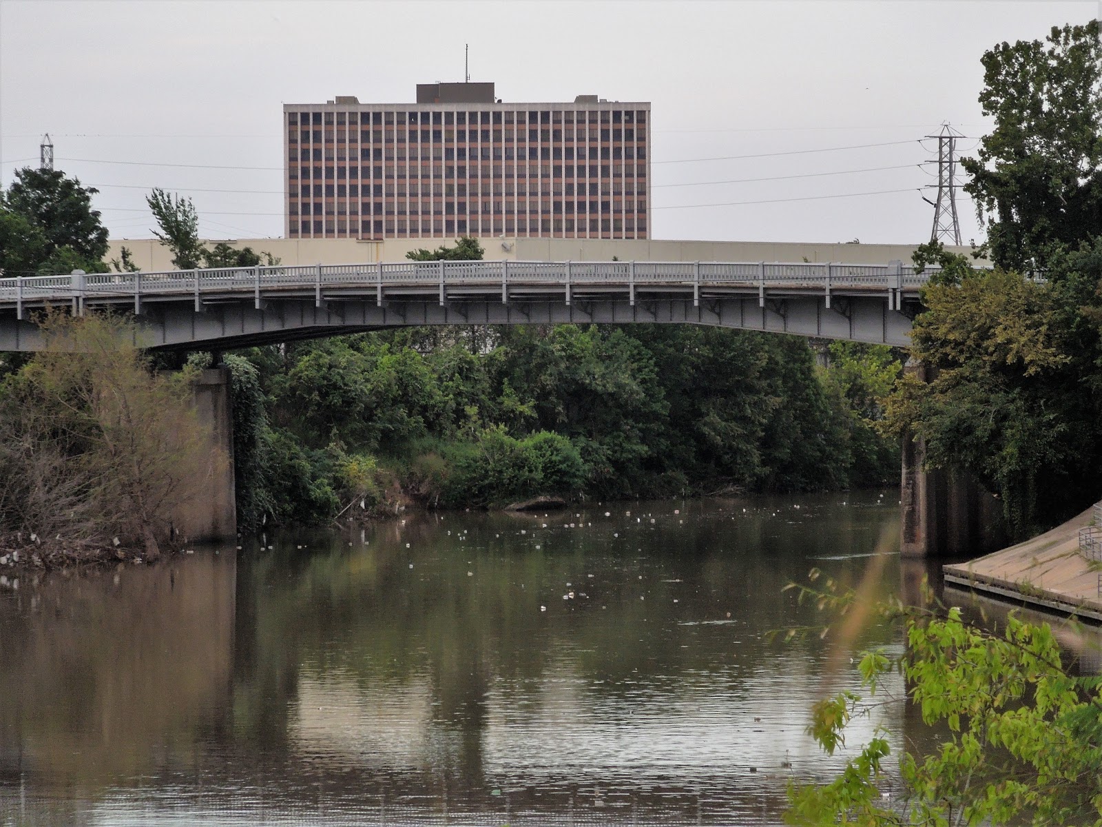 Houston in Pics Buffalo Bayou Trail at Jensen Drive and a mighty rare