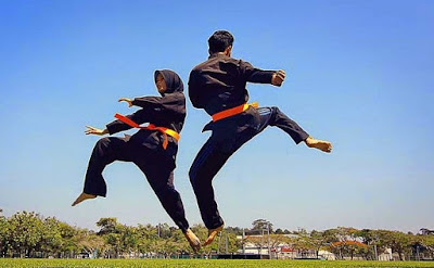 Sejarah Asal Usul dan Perkembangan Pencak Silat Sejarah Asal Usul dan Perkembangan Pencak Silat