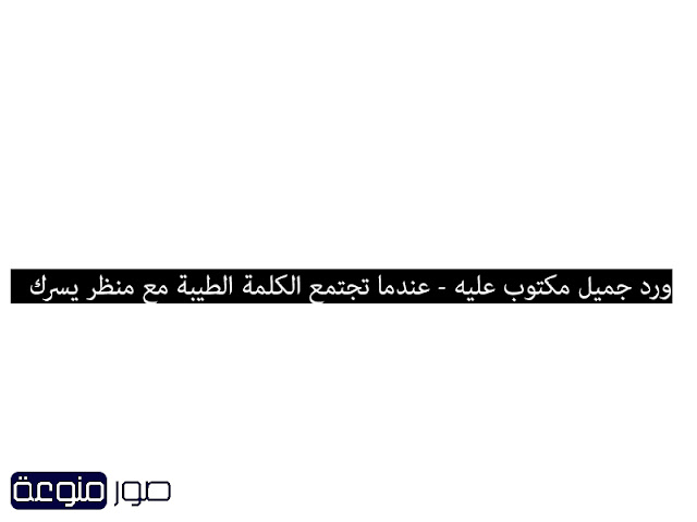ورد جميل مكتوب عليه