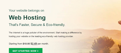 GoGeek Web hosting company