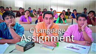 C Language Assignment