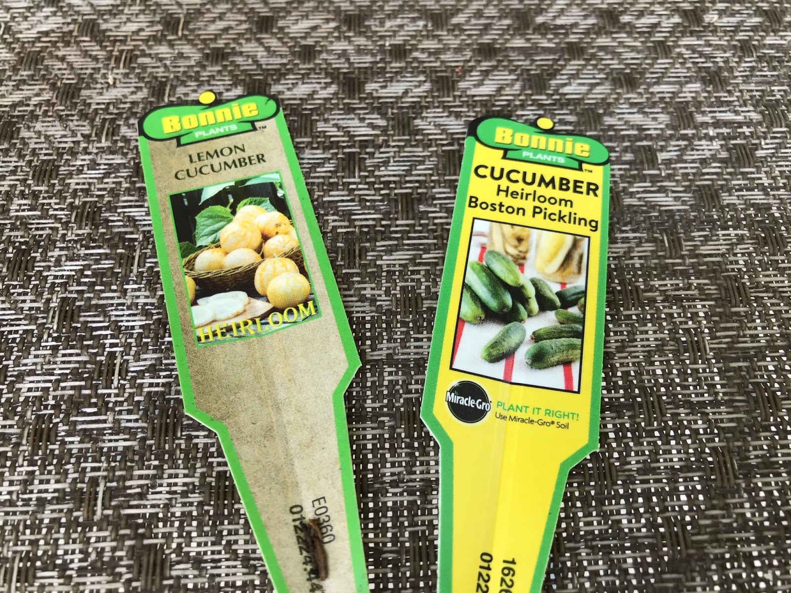 Grandma's Enchanted Fairy Garden Food Garden Cucumbers