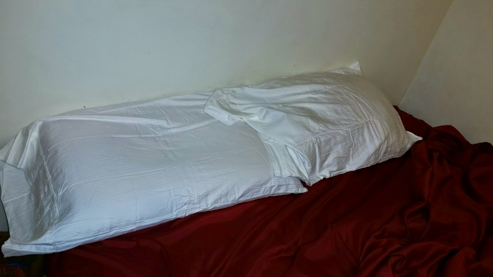 700 Thread Cotton Set of 2 Pillow Cases Review Momma4Life