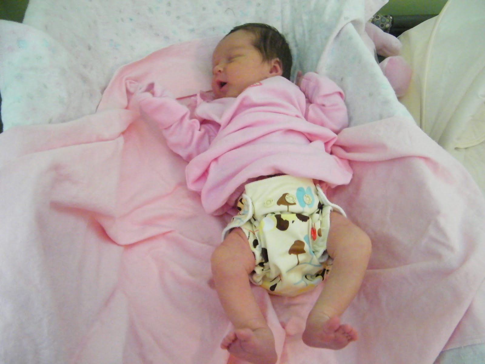 the-arts-and-diapers-grovia-aio-newborn