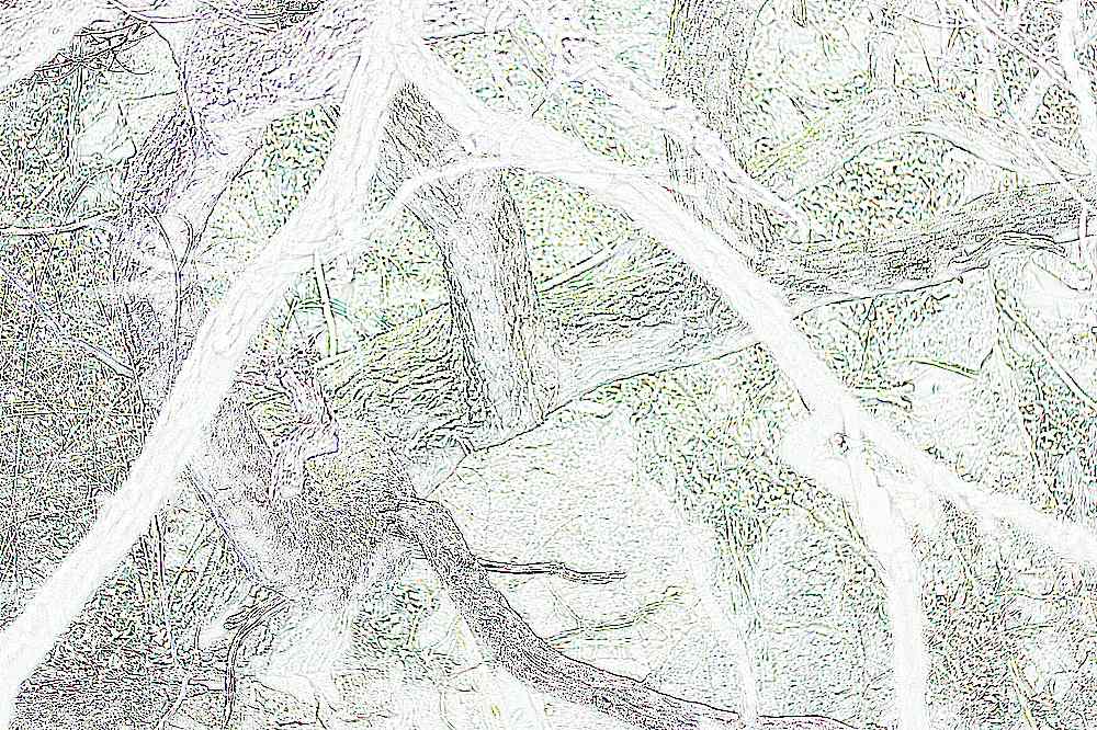 삼각산 도선사 삼각산 도선사