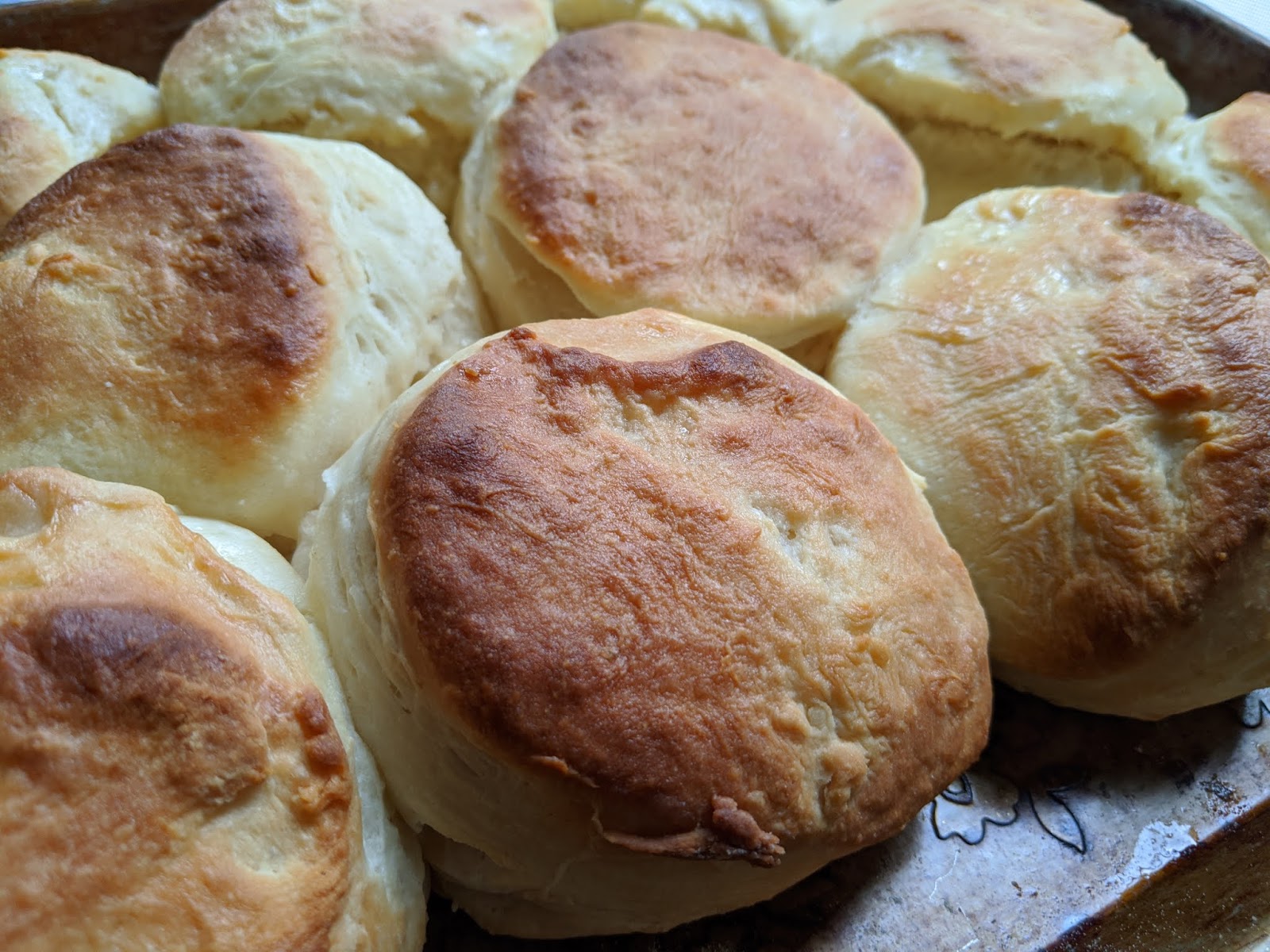 Yeast Raised Angel Biscuits for BreadBakers