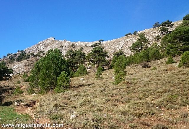 Pico-almenara-Albacete