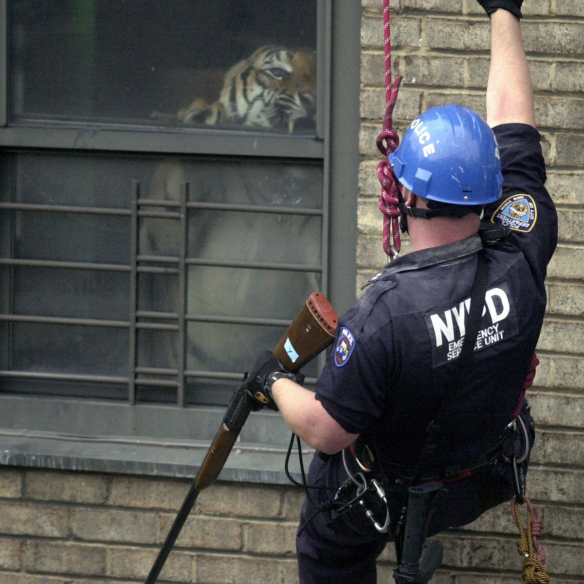 93 Million Miles Above Armand Hammer Shrines [2020]