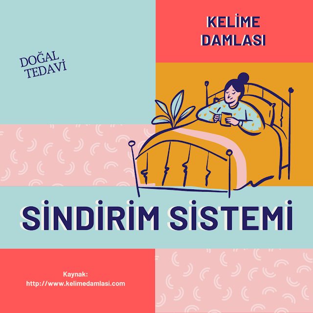 SİNDİRİM SİSTEMİ - MİDE BULANTISINA ZENCEFİL İYİ GELİR Mİ - DOĞAL TEDAVİ YÖNTEMLERİ - PROBİYOTİK