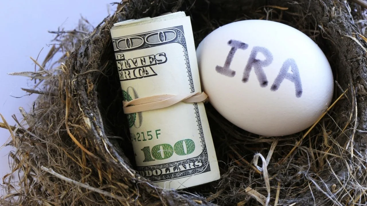 Egg written with the word IRA and money on a nest.